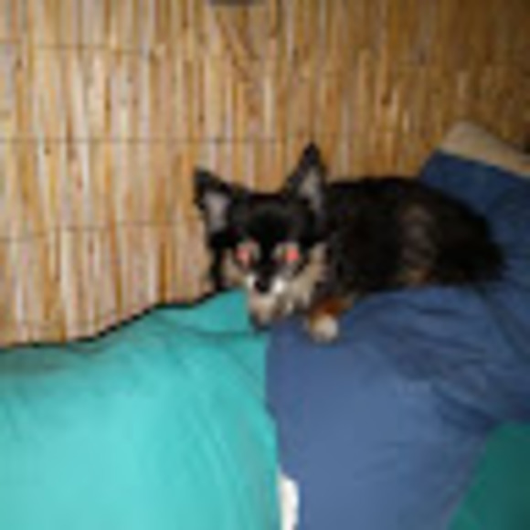 Meet your Posher, Jessica - Picture 1 of 1